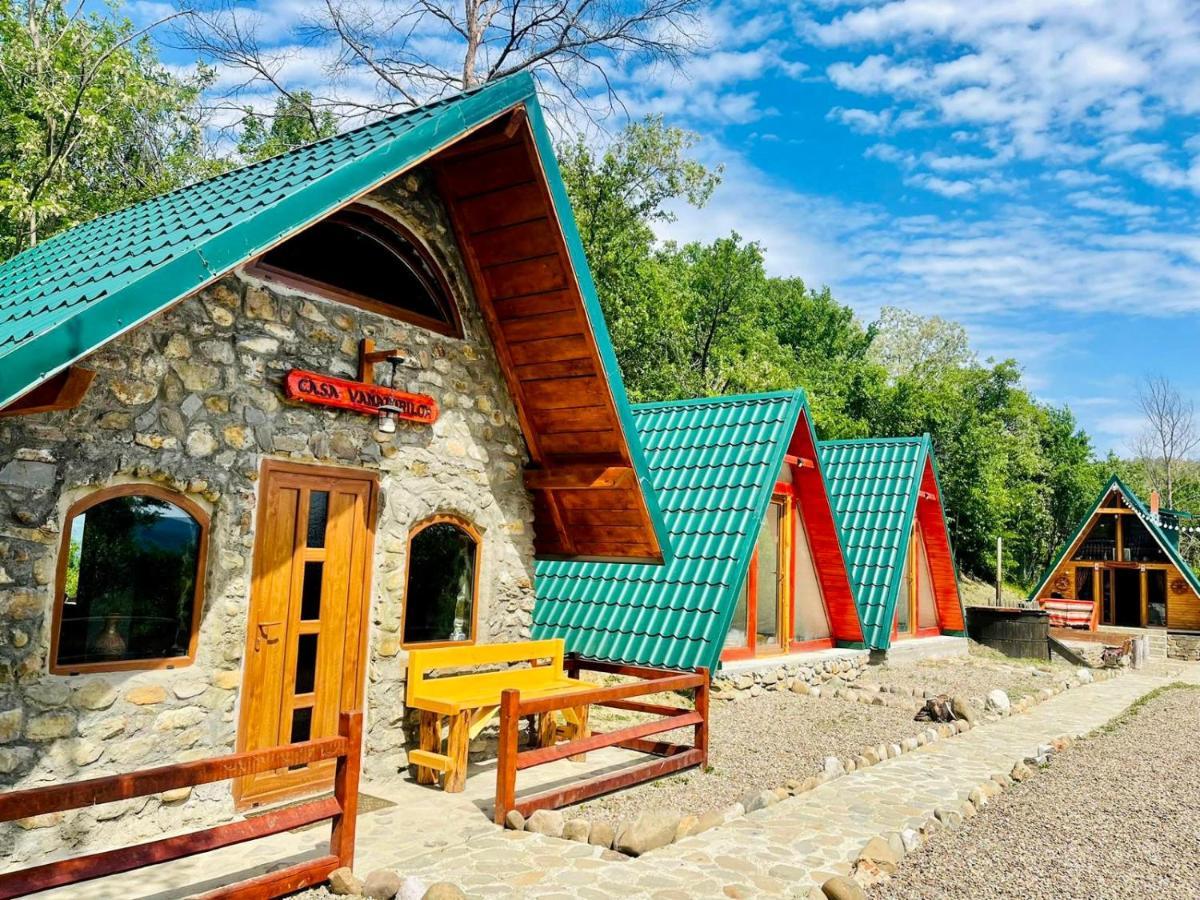 Вилла Catunu' Lui Emil Carbunesti Экстерьер фото
